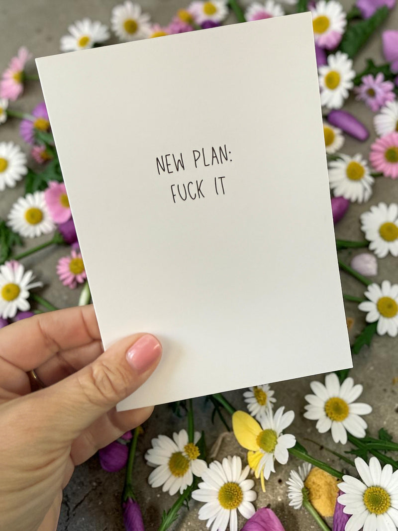 New Plan: Fuck It-zoom-