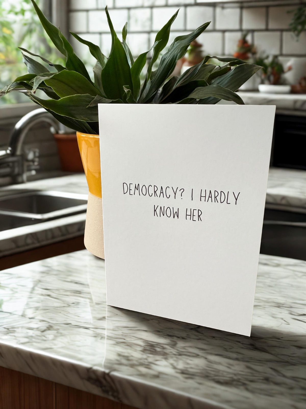Democracy? I Hardly Know Her-zoom-3