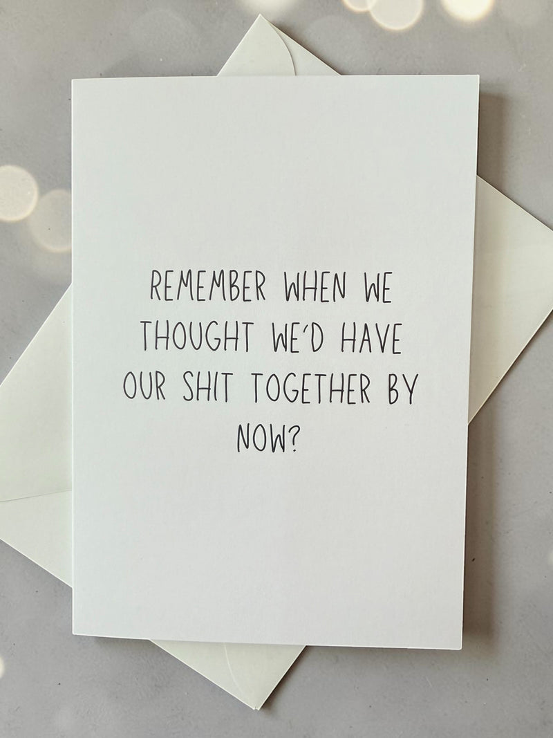 Remember When We Thought We'd Have Our Shit Together By Now?-zoom-