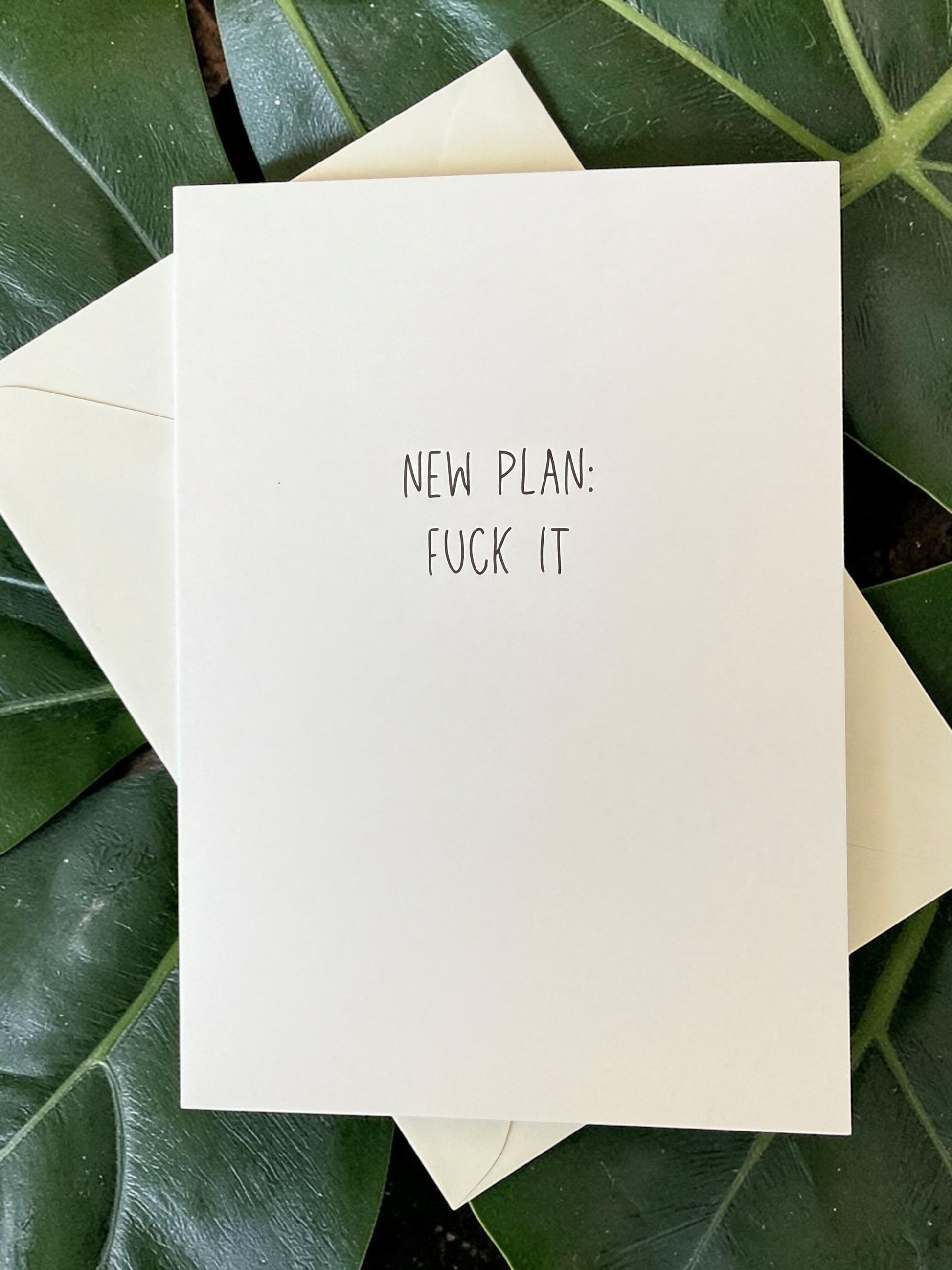 New Plan: Fuck It-1