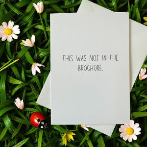 This Was Not In The Brochure